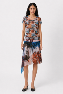 Alba Duque Beach Print Mesh Skirt