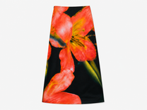 Printed Skirt